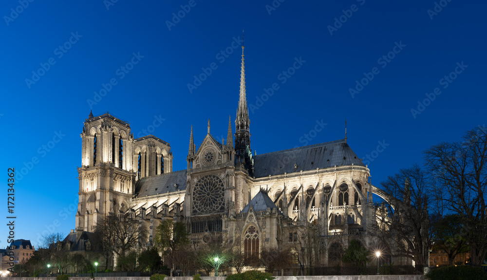 Notre-Dame de Paris at night, Paris, France
