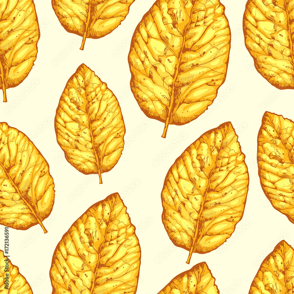 Obraz premium Seamless pattern with dried yellow leaves on white background. Vector illustration of tobacco.