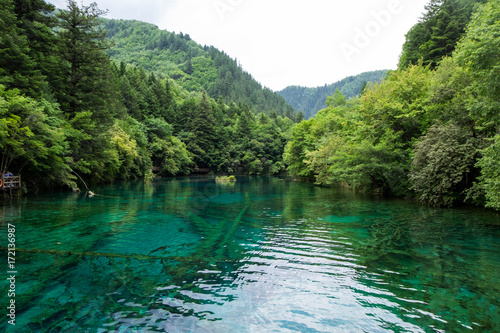 Photography Peacock lake, one of the largest lake in Jiuzhaigou national park