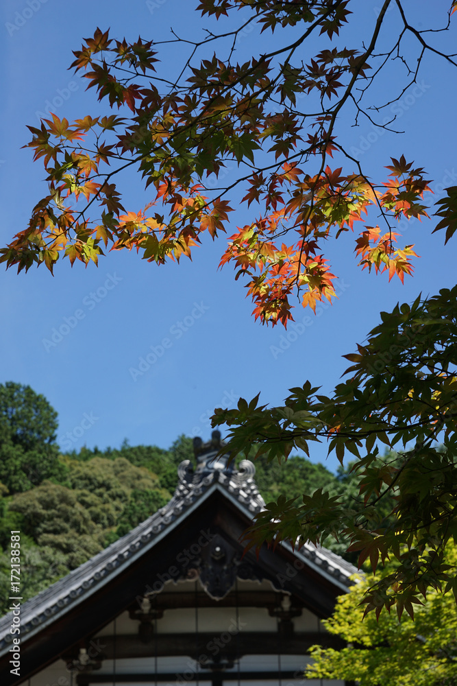 秋の気配