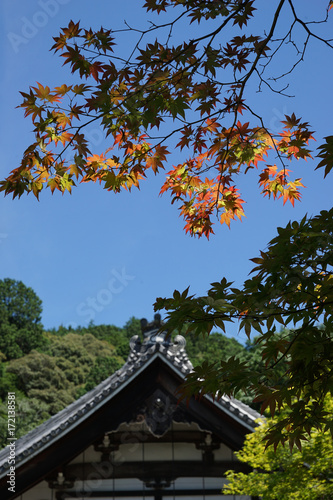 秋の気配 © ykimura65