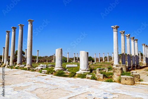 Romans ruins of the city of Salamis, near Famagusta, Northern Cyprus.