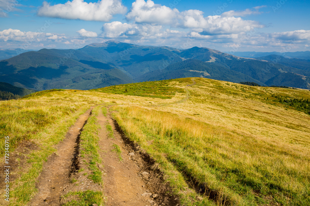 Fototapeta premium rut road in Carpathian mountains
