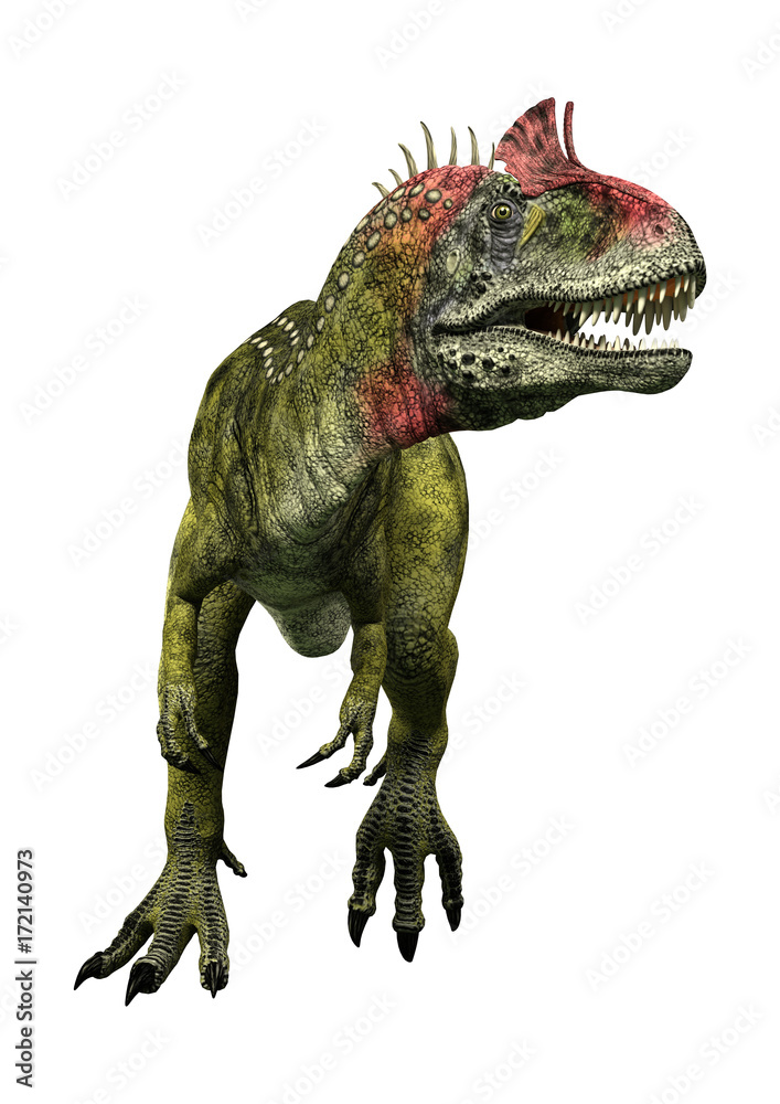 3D Rendering Dinosaur Cryolophosaurus on White 3D Rendering Dinosaur Cryolophosaurus on White