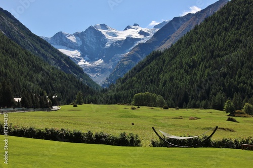 Hammock with a view: Gran Paradiso peak, St Ursus meadows, Cogne, Italy
