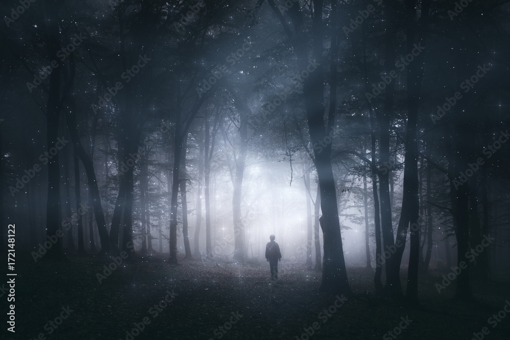 magical forest, mystery landscape with man silhouette in dark woods