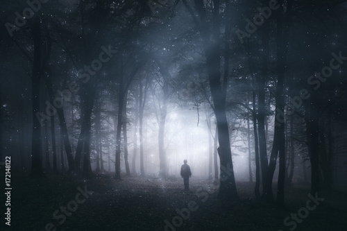 magical forest  mystery landscape with man silhouette in dark woods