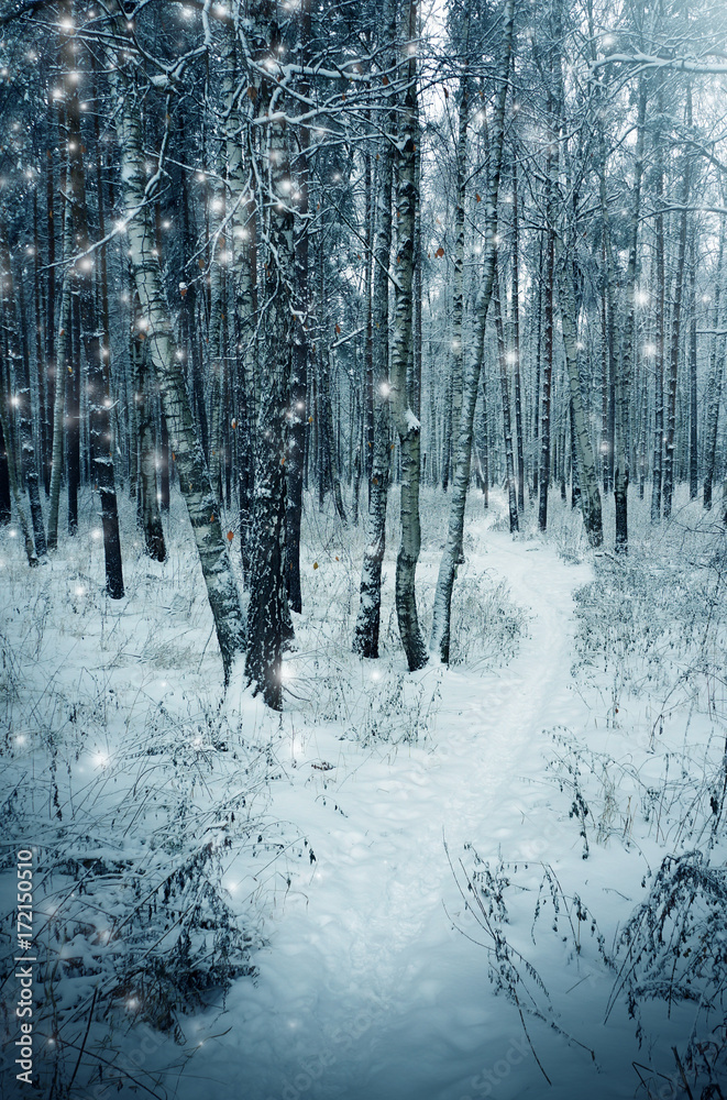 Winter nature,road in forest Winter nature,road in forest