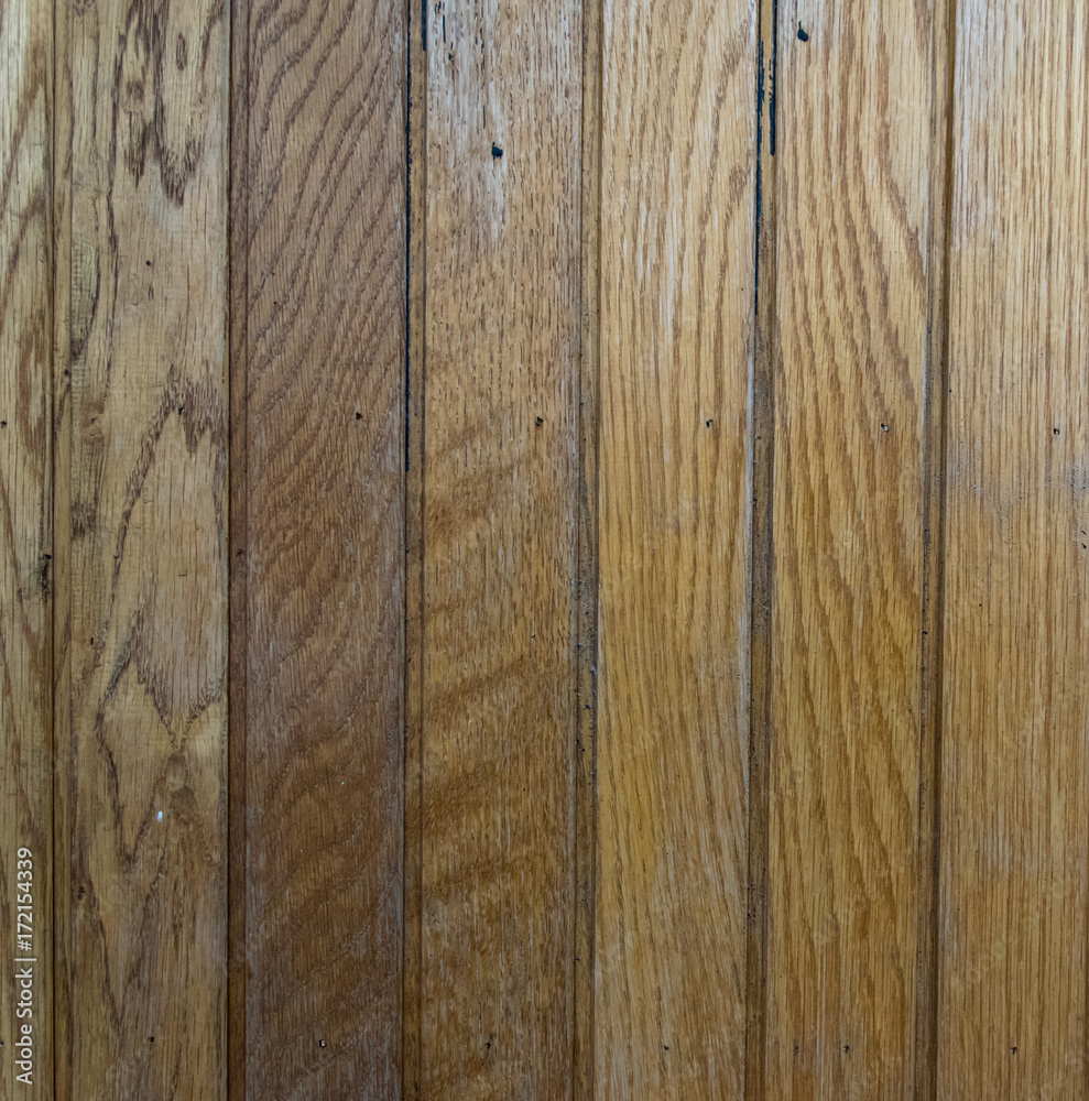 Fototapeta premium Holz Textur