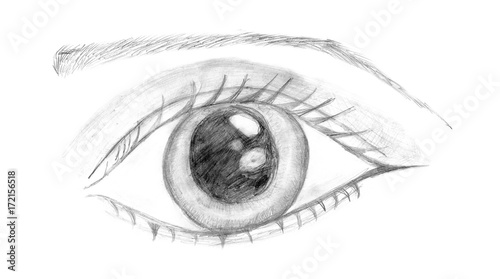 Woman eye . Hand painted fashion illustration, sketch. Pencil Hand-drawn beautiful female eye, black and white outline.