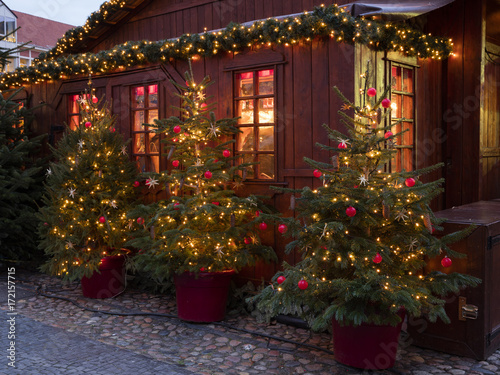 Weihnachtsb  ume vor einer Holzh  tte  Weihnachtsmarkt  Deutschland  Europa