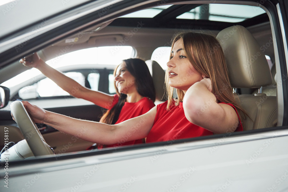 Enjoying travel. Beautiful young girl twins sitting on the front passenger seats and smiling while posing on camera. Enjoying travel. Beautiful young girl twins sitting on the front passenger seats and smiling while posing on camera.