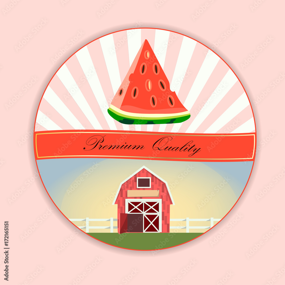Sweet juicy slice of watermelon Sweet juicy slice of watermelon
