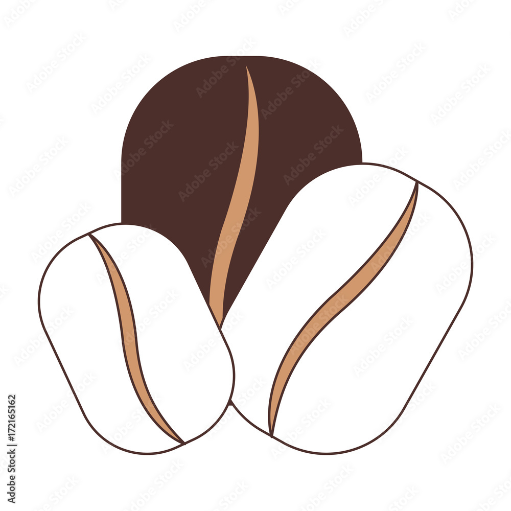 coffee beans set silhouette color section on white background vector illustration coffee beans set silhouette color section on white background vector illustration