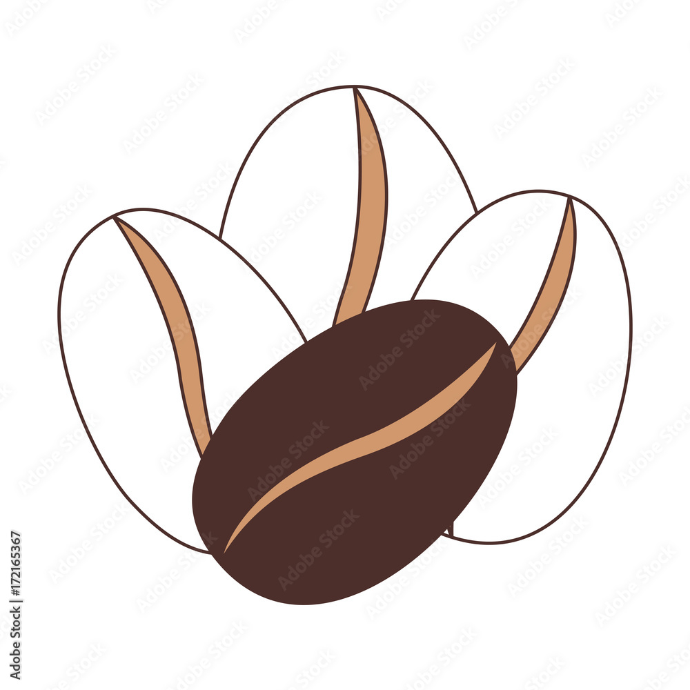 Obraz premium coffee beans set of four grains silhouette color section on white background vector illustration