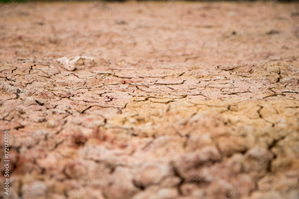 Obraz premium climate change, global warming, closeup cracked soil