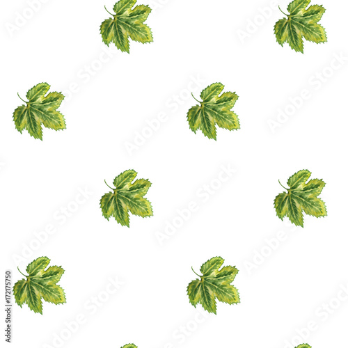 Seamless pattern with hop leaves