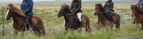 Island-Pferde beim Ausritt photo