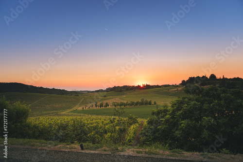Unesco world heritage Monferrato hills at sunset photo