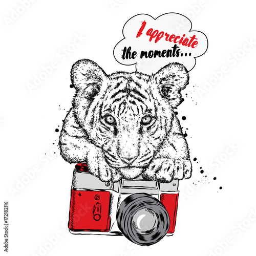 Fototapeta Naklejka Na Ścianę i Meble -  A beautiful tiger with a camera. Vector illustration for a postcard or a poster, print for clothes.