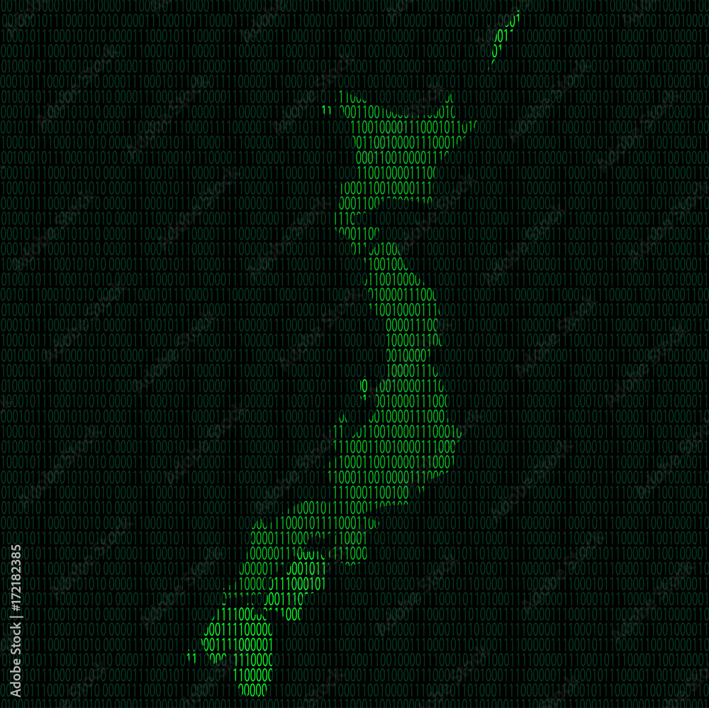 Fototapeta Silhouette of Japan from binary digits