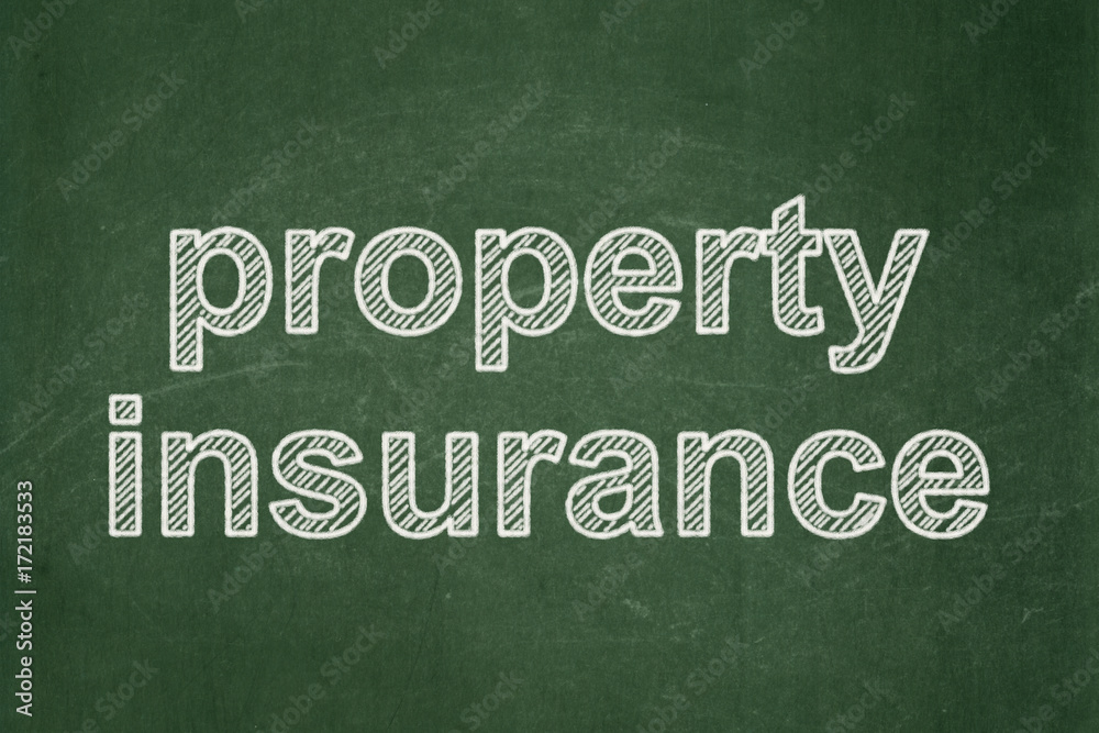 Obraz premium Insurance concept: Property Insurance on chalkboard background