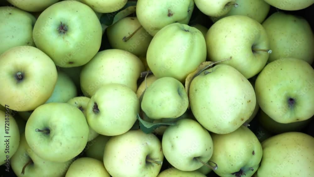 background of the harvest of green apples at the wooden box background of the harvest of green apples at the wooden box