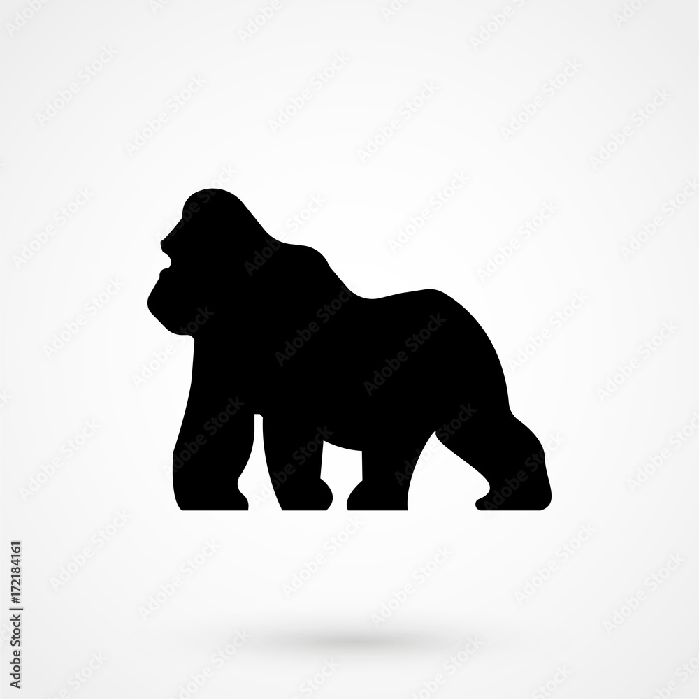 Obraz premium Gorilla