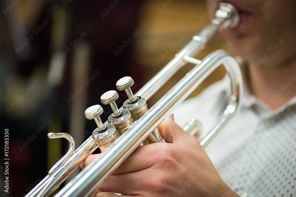 Obraz premium cuivre