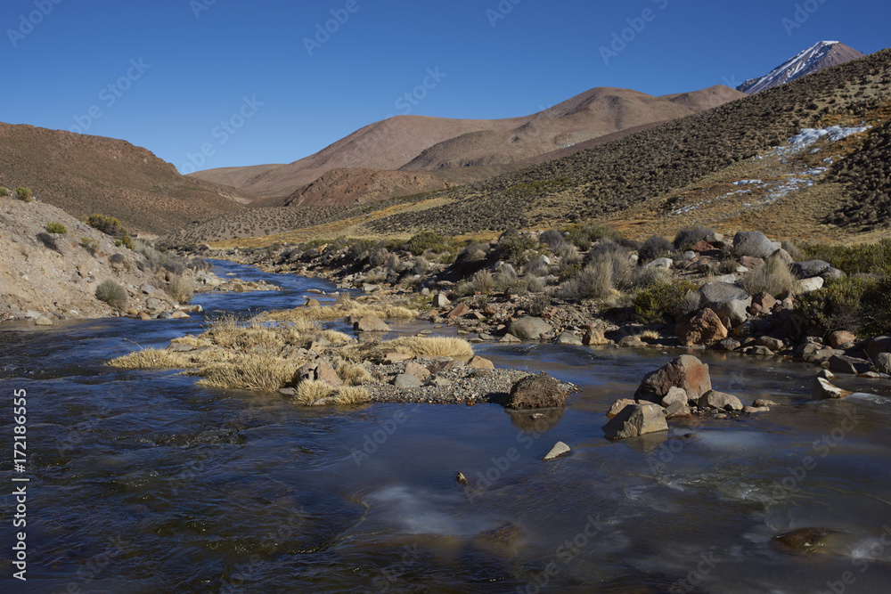 Frozen river in Lauca National Park on the altiplano of northern Chile Frozen river in Lauca National Park on the altiplano of northern Chile