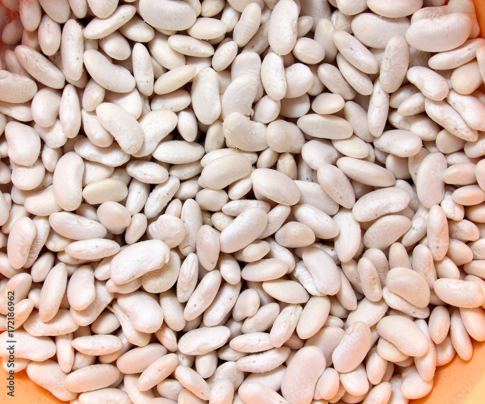 white kidney beans in a plastic bowl filled with water white kidney beans in a plastic bowl filled with water