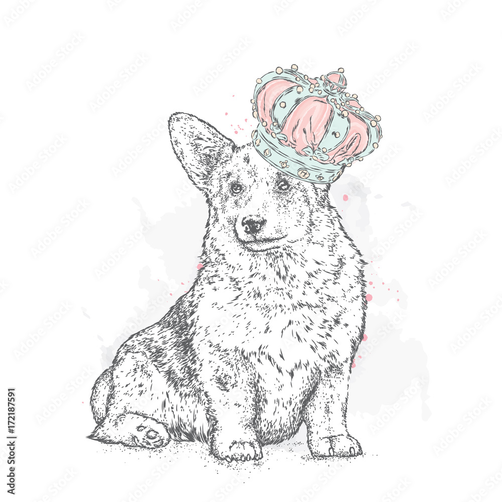 Cute puppy wearing a crown. Vector illustration for a postcard or a poster, print for clothes. Pedigree dog. Welsh Corgi.

