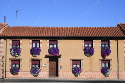 CASA DE PUEBLO CON FLORES
