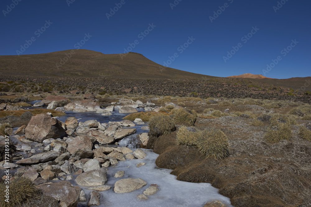 Frozen stream in Lauca National Park on the altiplano of northern Chile Frozen stream in Lauca National Park on the altiplano of northern Chile