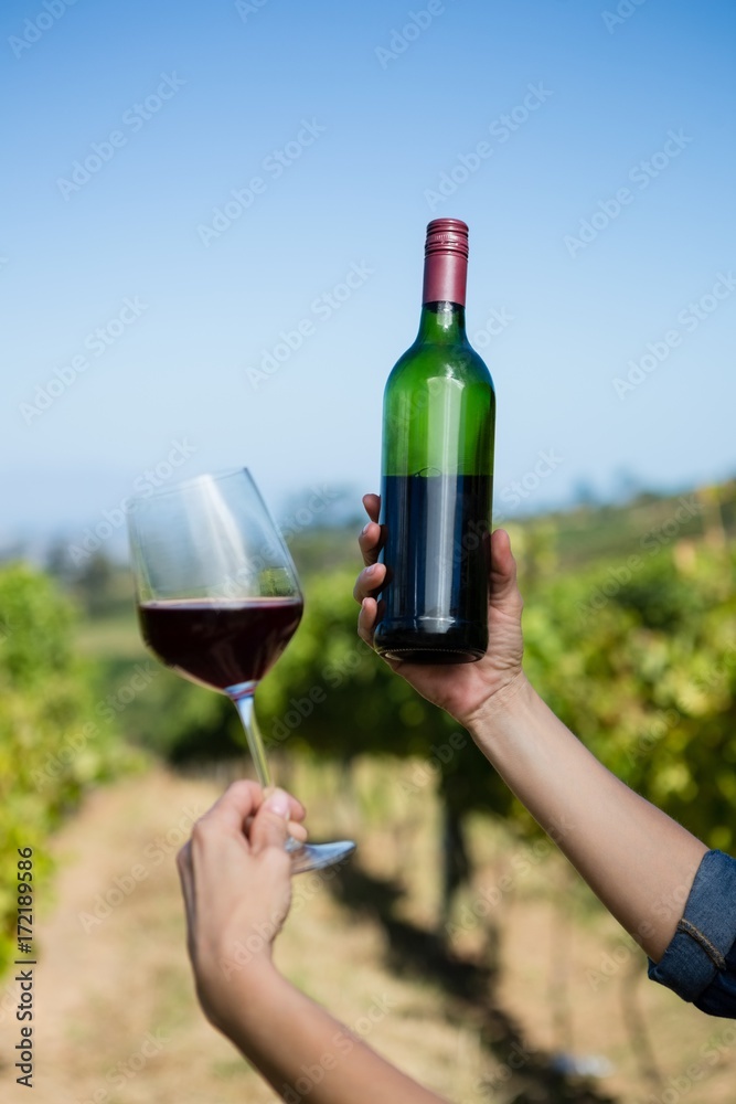 Female vintner examining wine