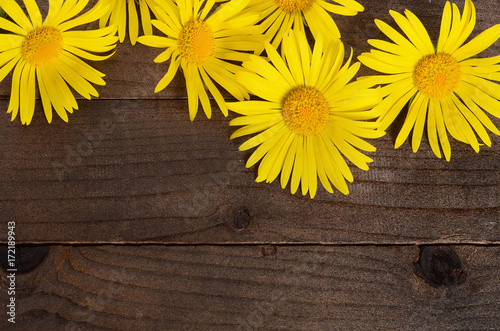 Fototapeta Naklejka Na Ścianę i Meble -  Yellow chamomile on wooden background