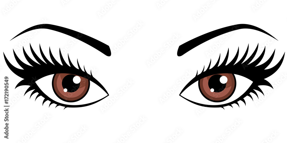 Brown female eyes isolated on white background. Brown female eyes isolated on white background.