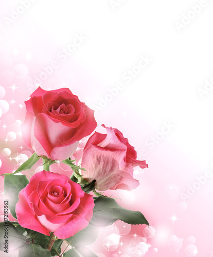 Fototapeta Naklejka Na Ścianę i Meble -  Beautiful background with flowers roses