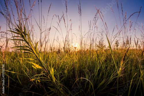 Morning awakening of nature.