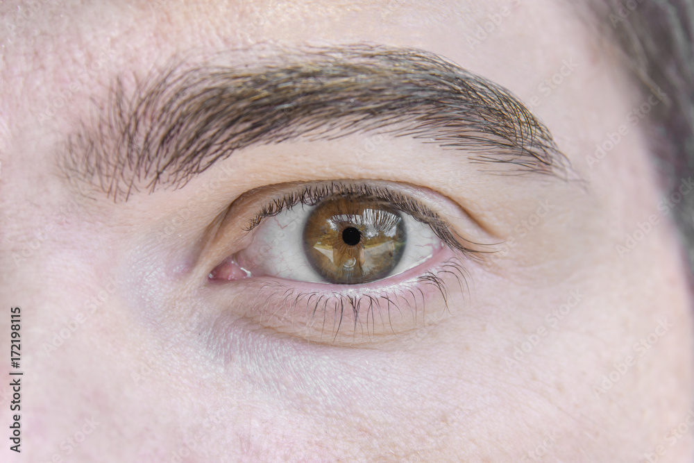Obraz premium Close up picture of brown eyes from a young man