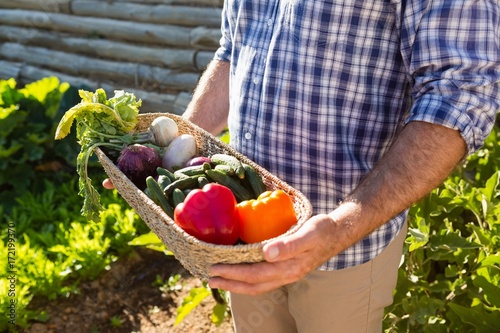 Farmer holding a basket of fresh vegetables in vineyard © WavebreakMediaMicro