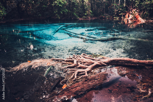 Sra Morakot Blue Pool at Krabi Province, Thailand. Clear emerald pond in tropical forest. The roots of trees with a beautiful lagoon in the rain-forest. Cross processed retro and vintage style toning