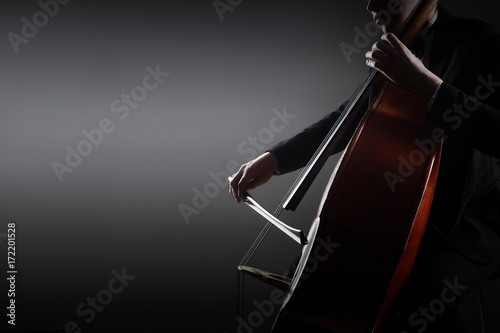 Bild auf Leinwand Double bass player. Hands playing contrabass