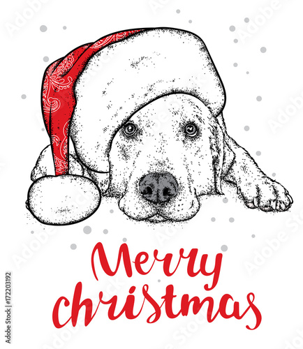 Cute puppy in a New Year hat. Vector illustration. Pedigree dog. Labrador.