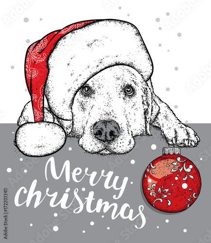 Cute puppy in a New Year hat. Vector illustration. Pedigree dog. Labrador. Christmas tree ball.