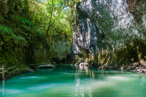 Forest river 