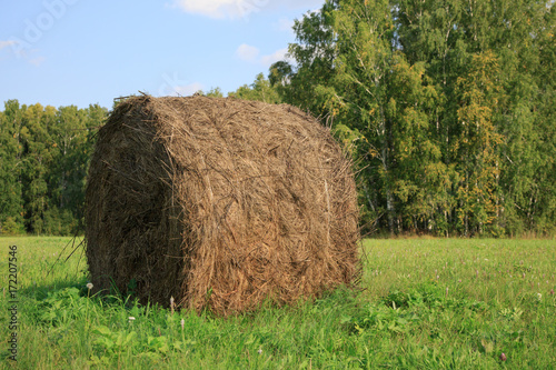View of farm field showing bales of hay