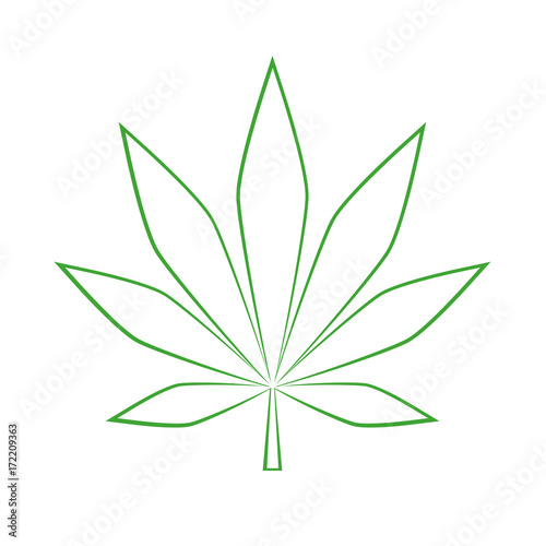 cannabis blatt grün