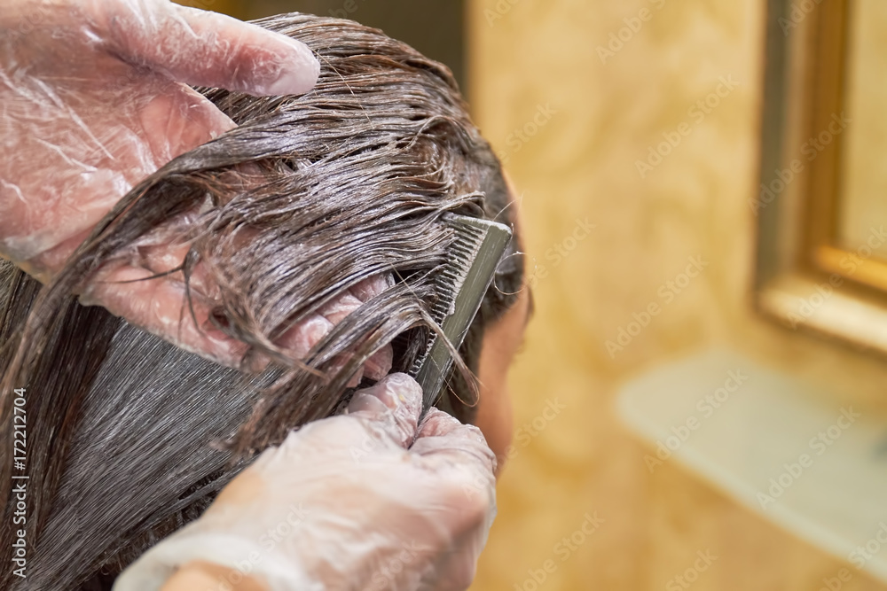 Naklejka premium Hair dying process, macro. Hands of beautician and hair.