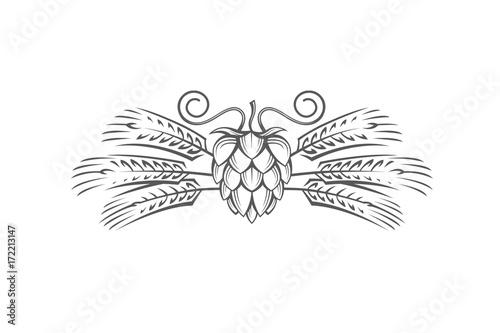 black illustration of hop and barley ear for brewing